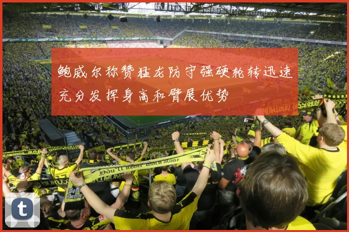 鲍威尔称赞猛龙防守强硬轮转迅速充分发挥身高和臂展优势